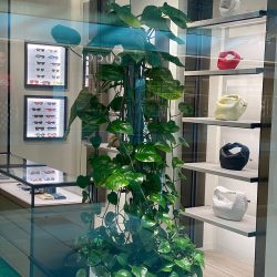 retail store plant services