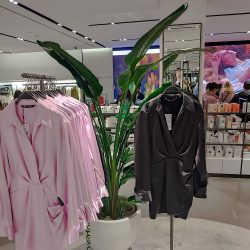 potted plants for retail stores
